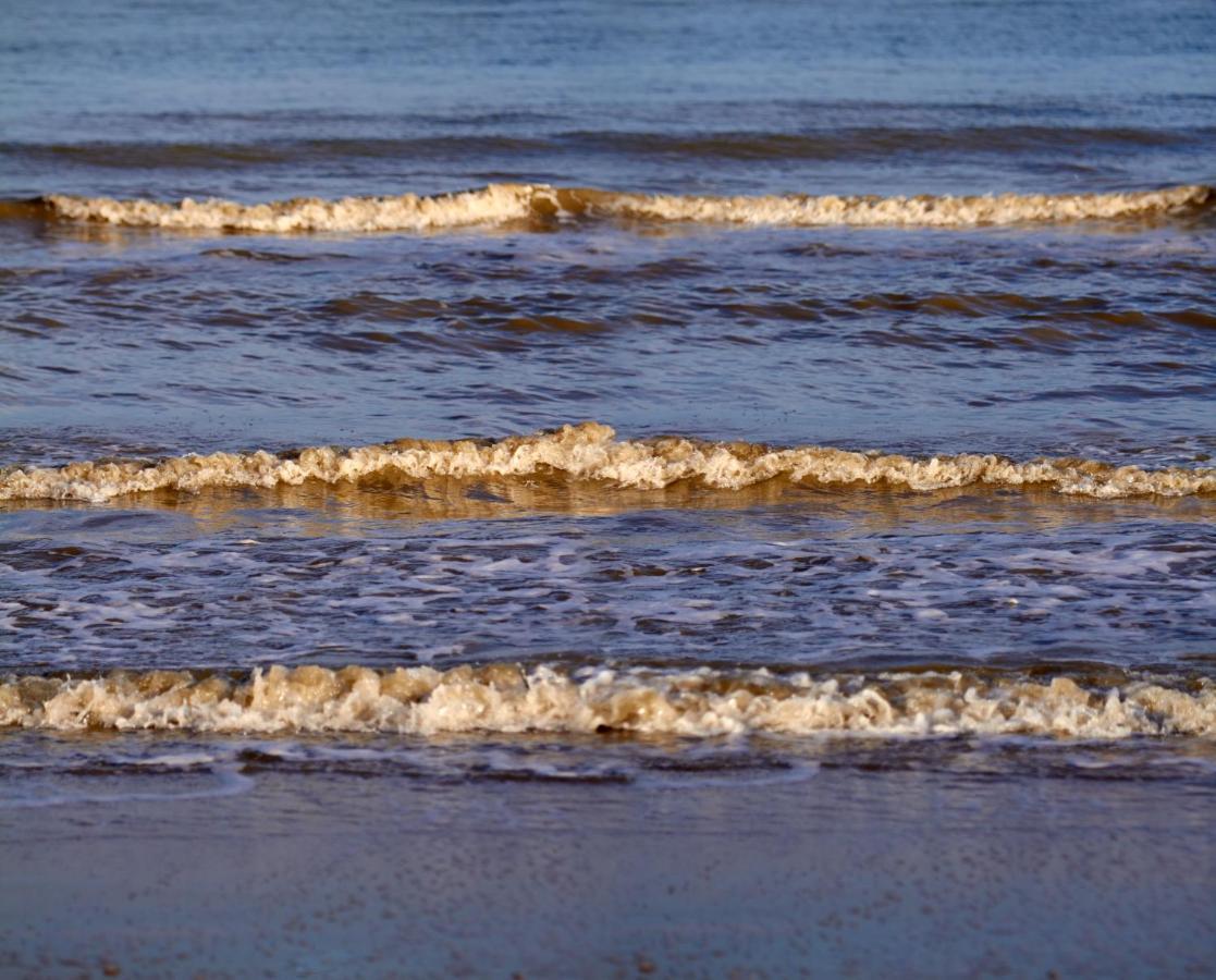 Polderhuis Voor 8-10 Personen Aan Zee Nieuwvliet Esterno foto